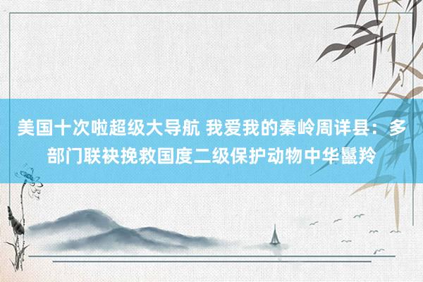 美国十次啦超级大导航 我爱我的秦岭周详县:多部门联袂挽救国度二级保护动物中华鬣羚