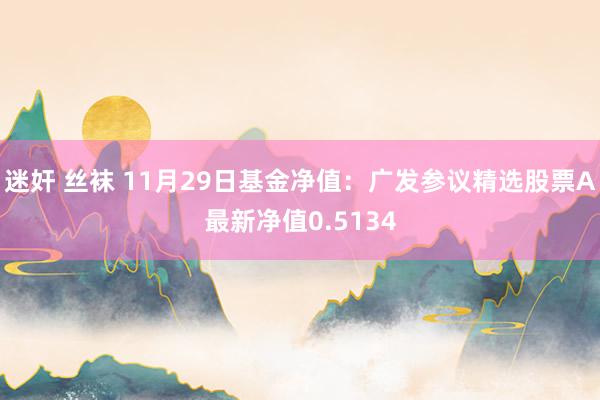 迷奸 丝袜 11月29日基金净值:广发参议精选股票A最新净值0.5134