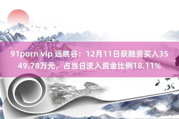 91porn vip 远眺谷:12月11日获融资买入3549.78万元,占当日流入资金比例18.11%