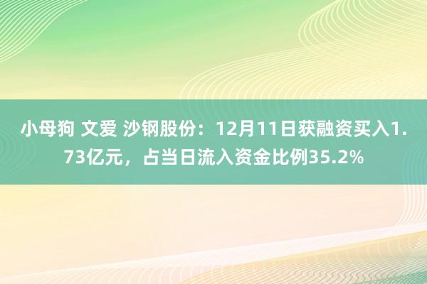 小母狗 文爱 沙钢股份:12月11日获融资买入1.73亿元,占当日流入资金比例35.2%