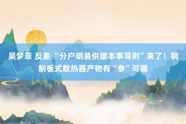 吴梦菲 反差 “分户明装供暖本事导则”来了!钢制板式散热器产物有“参”可循