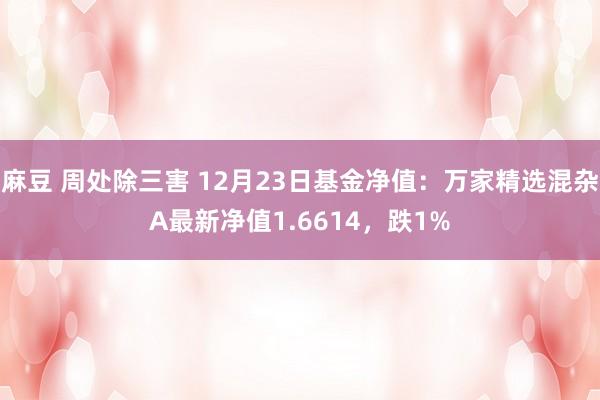 麻豆 周处除三害 12月23日基金净值:万家精选混杂A最新净值1.6614,跌1%