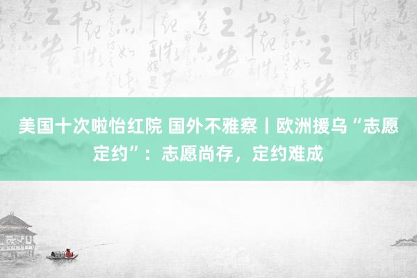 美国十次啦怡红院 国外不雅察丨欧洲援乌“志愿定约”:志愿尚存,定约难成