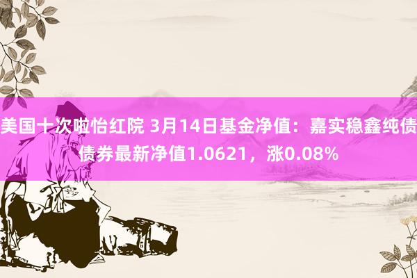 美国十次啦怡红院 3月14日基金净值:嘉实稳鑫纯债债券最新净值1.0621,涨0.08%