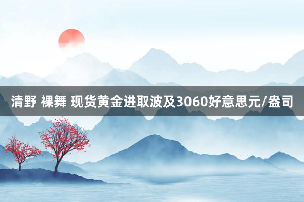清野 裸舞 现货黄金进取波及3060好意思元/盎司