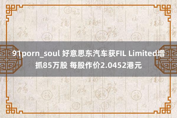 91porn_soul 好意思东汽车获FIL Limited增抓85万股 每股作价2.0452港元