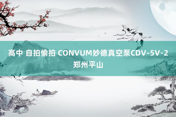 高中 自拍偷拍 CONVUM妙德真空泵CDV-5V-2郑州平山